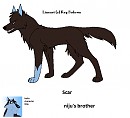 Scar (niju's brother)