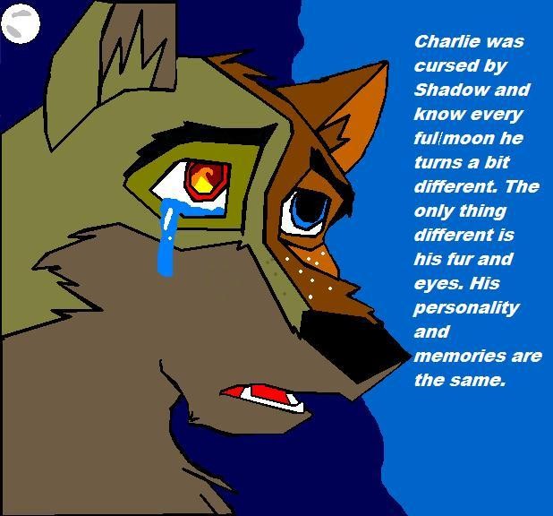 Charlie the cursed dog