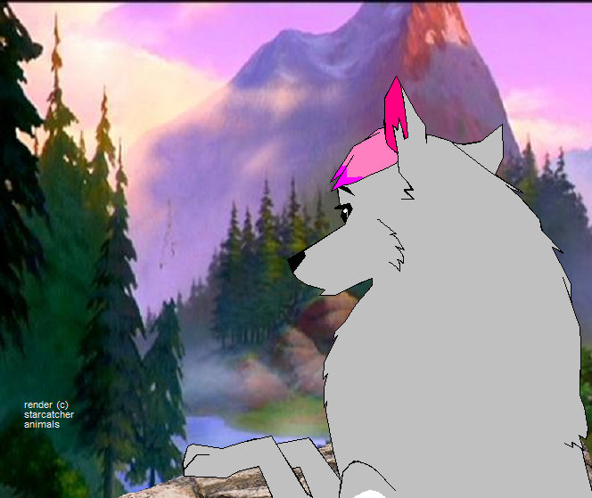 I want to go home with Frost