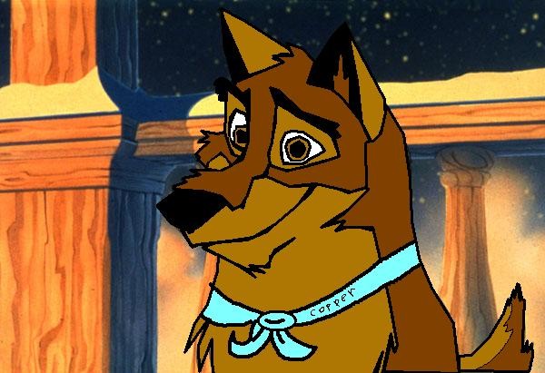 Copper (bro of Cooper and Callie