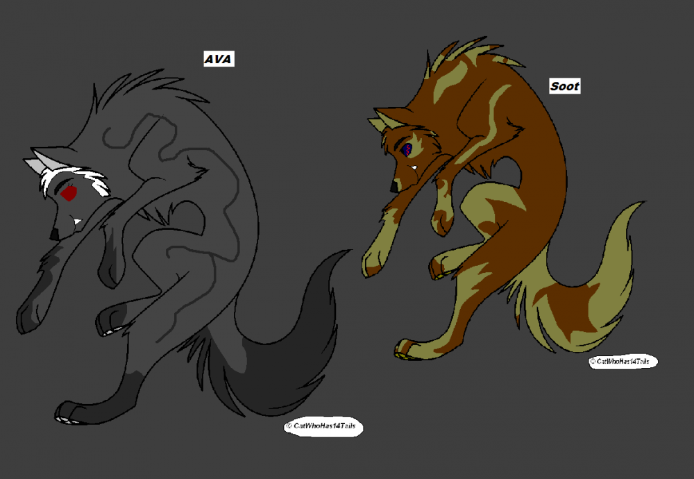 Ava ( mate of Shadow) and Soot (follower of Shadow
