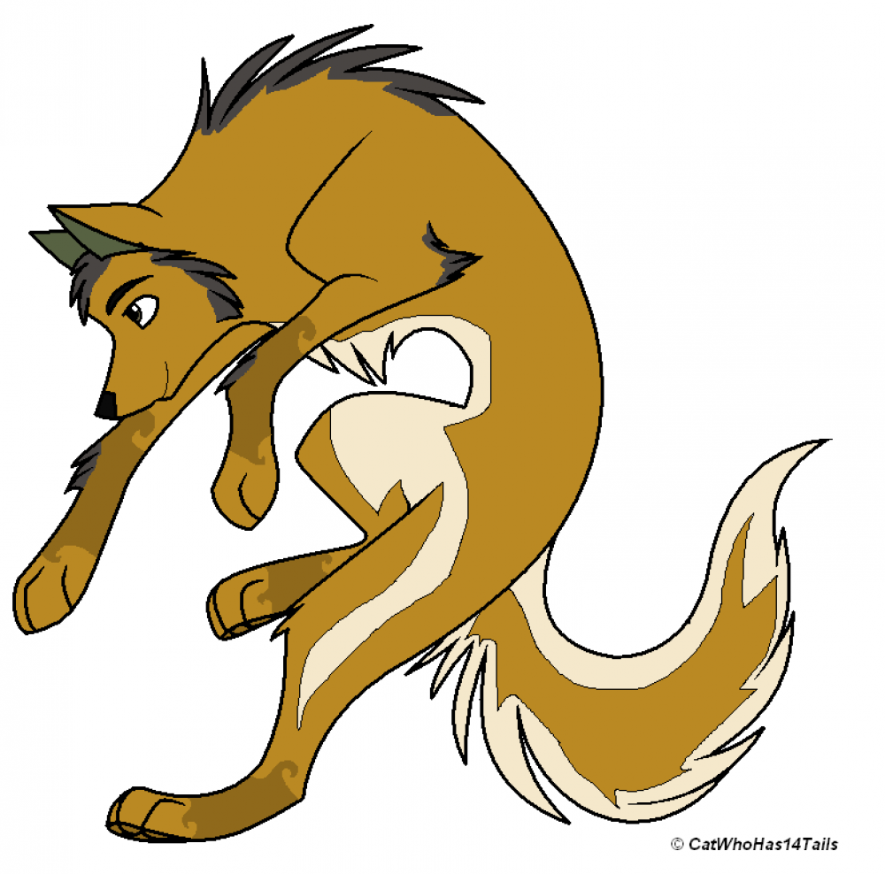 Max the wolf from Heaven