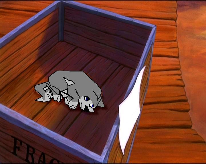 Sam the abandond runt