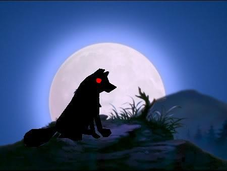Shadow in the full moon
