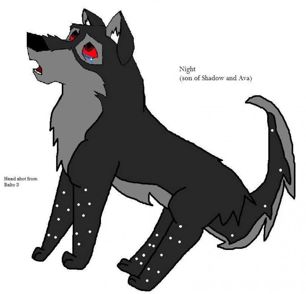 Night full body
