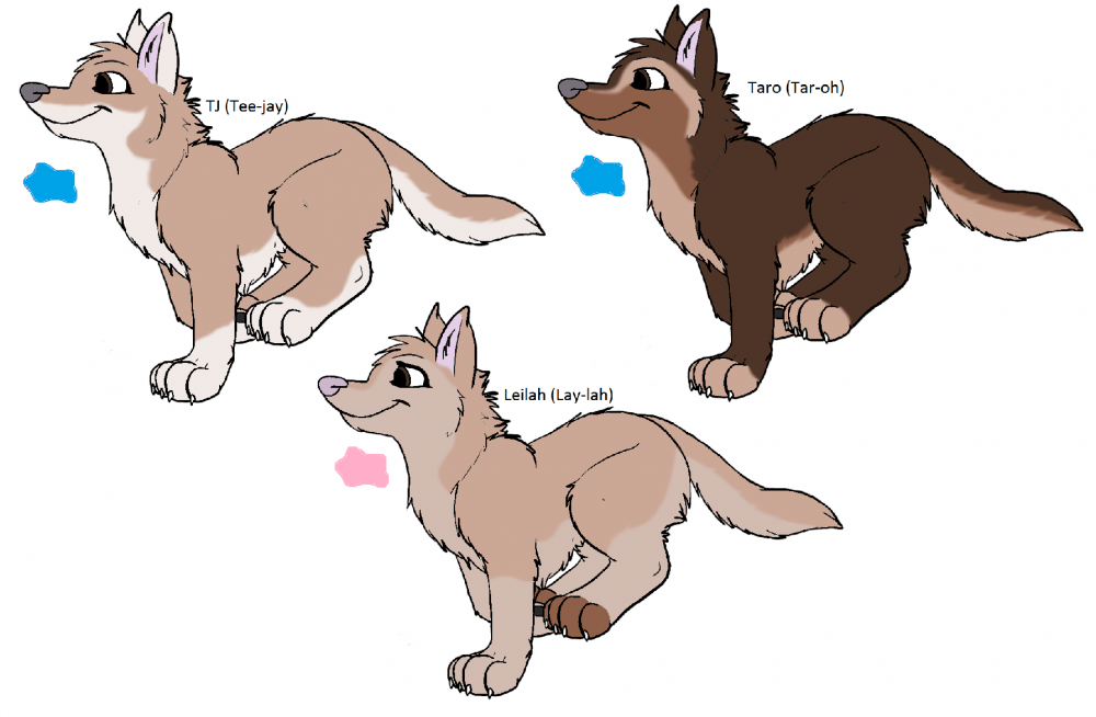 Adoptables!