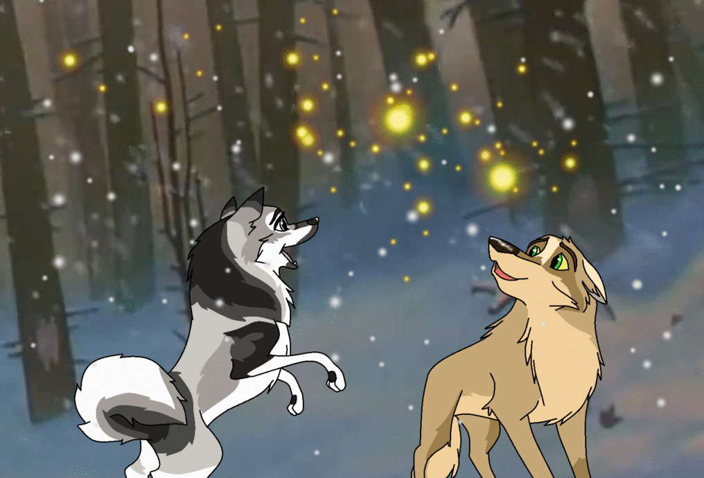 Almost As Enchanting As You | Animation