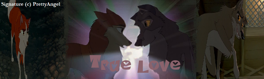 True Love Sigie