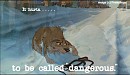It hurts. . . to be called  dangerous. 