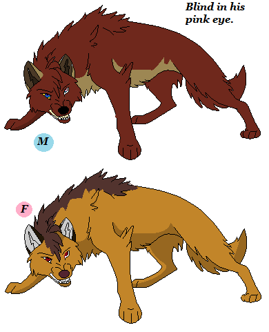 Adoptables!