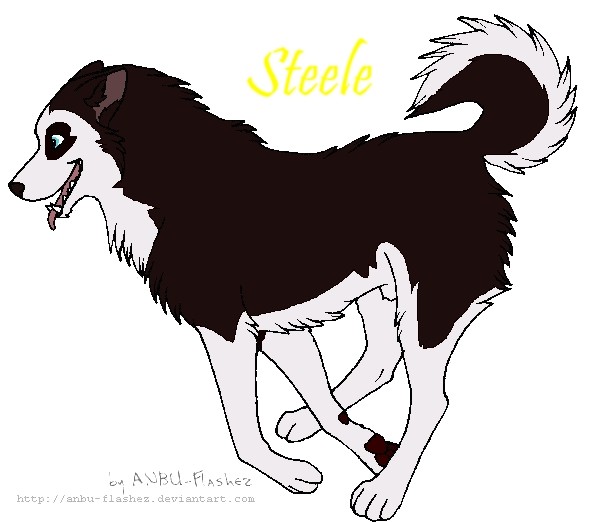 Young Steele