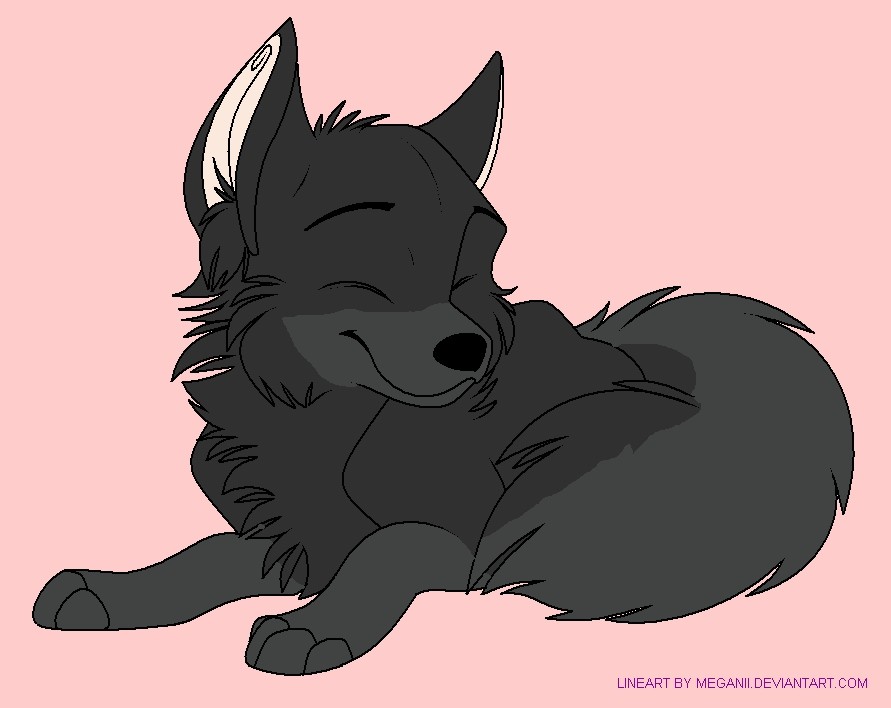 puppy Jordan