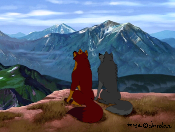 Watching the sky