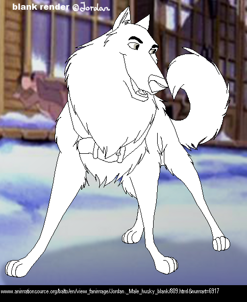 Male husky blank