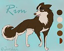 Introducing Rim