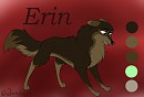 Character update - Erin
