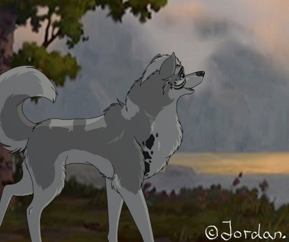 Watching the sunset - Trade Troll Berserker