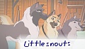 little.snouts