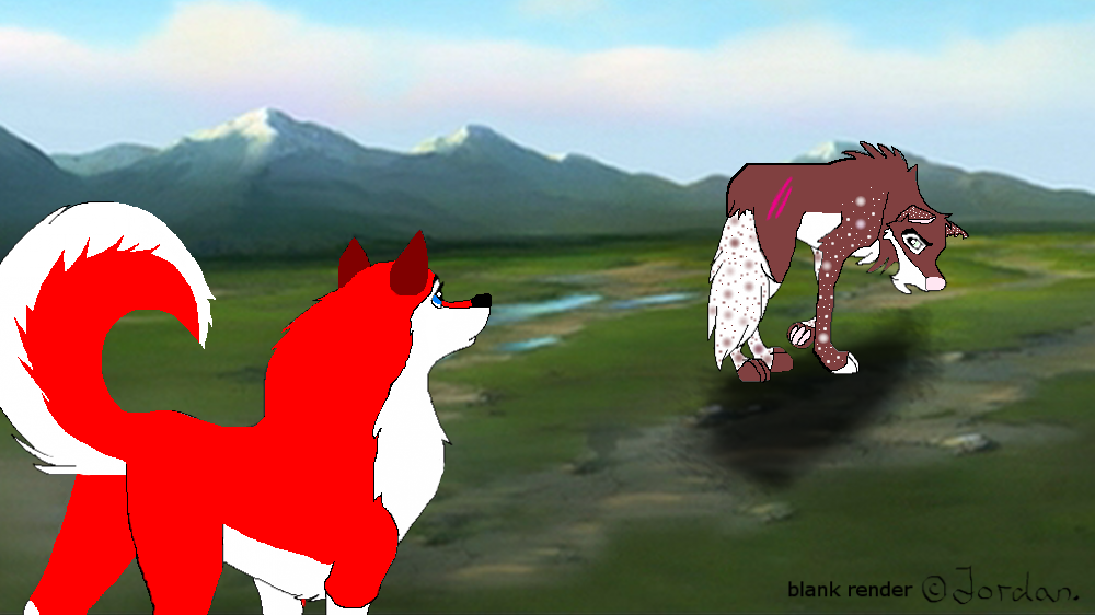 Ozzie Where are you going this time..?