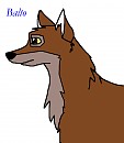 Balto