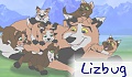 lizbug