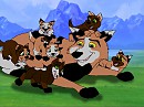 Drew and his Pups :3