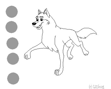 Blank Male Husky