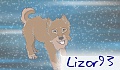 Lizor93