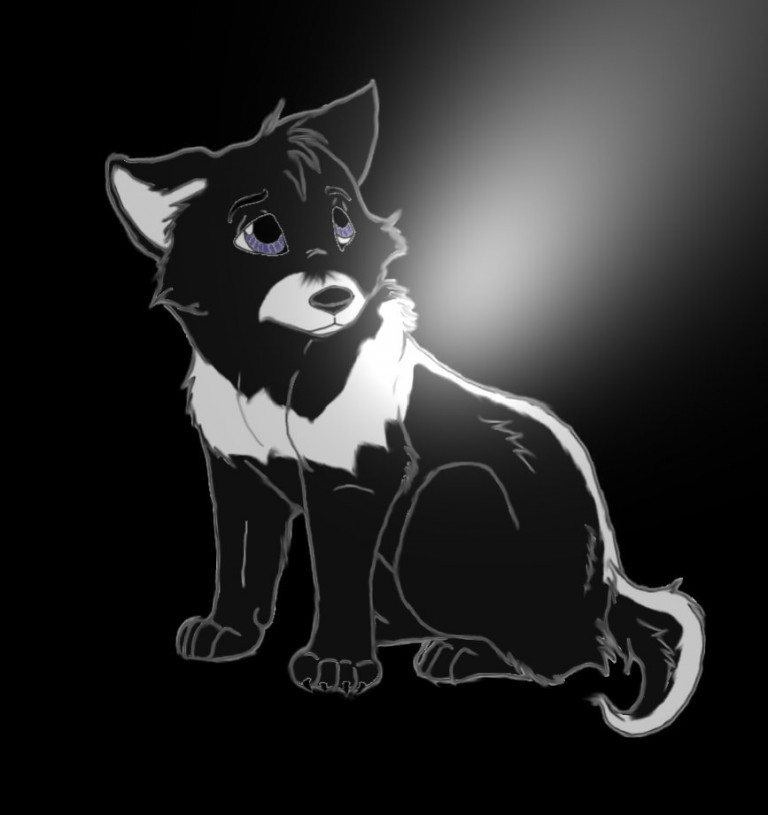 Tk as puppy