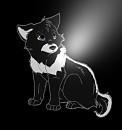 Tk as puppy