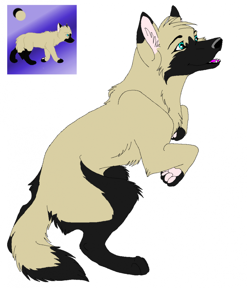 New Char- Bree