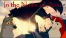 In the Name of Aniu