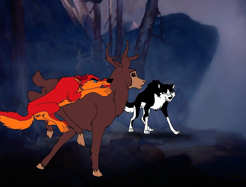 Hunt