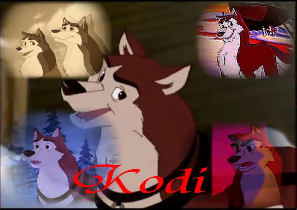 Kodi pour Ronno