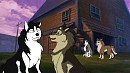  What dogs! 