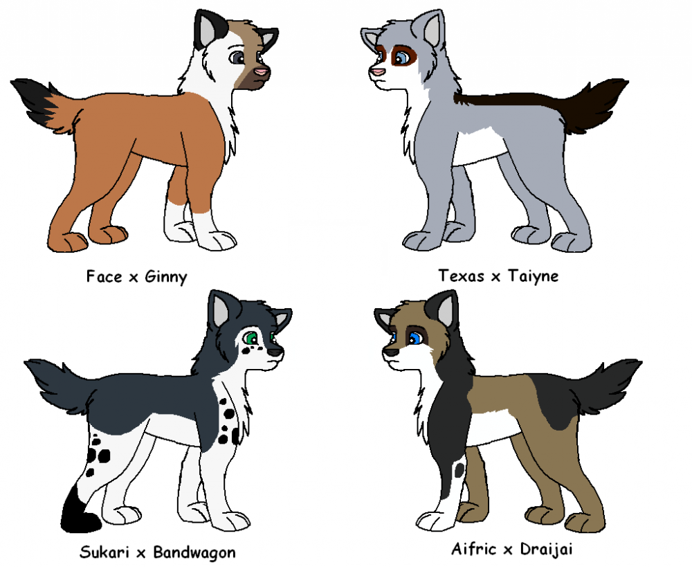 Fanpups
