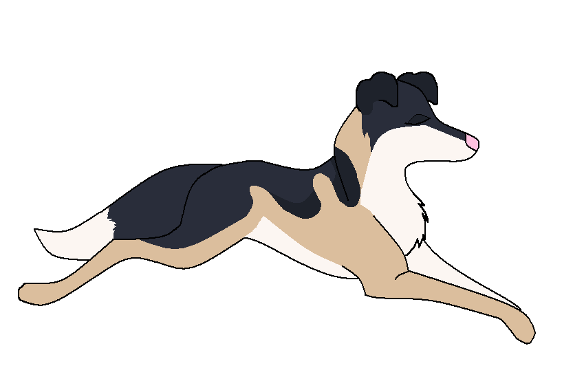 fanpupper