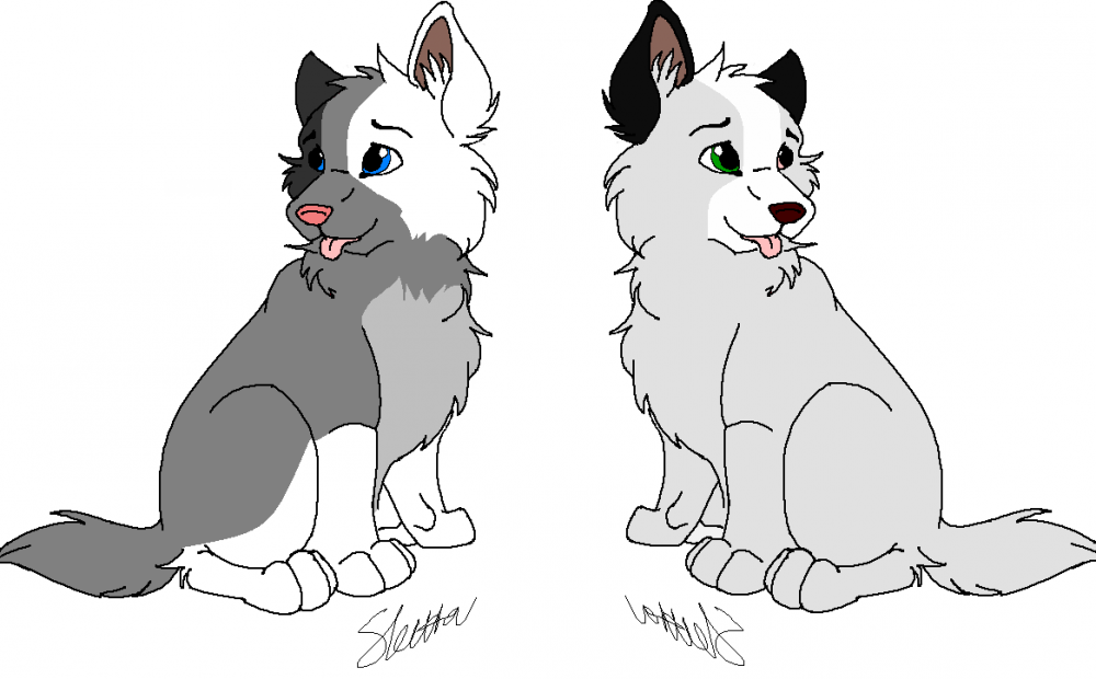 FallowxDairin Puppies