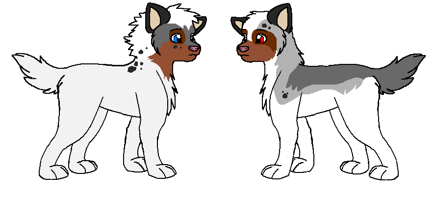 Fanpups
