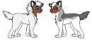 Fanpups