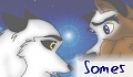 Somes
