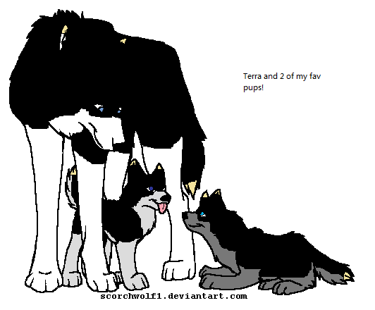 Terra and pups