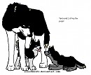 Terra and pups