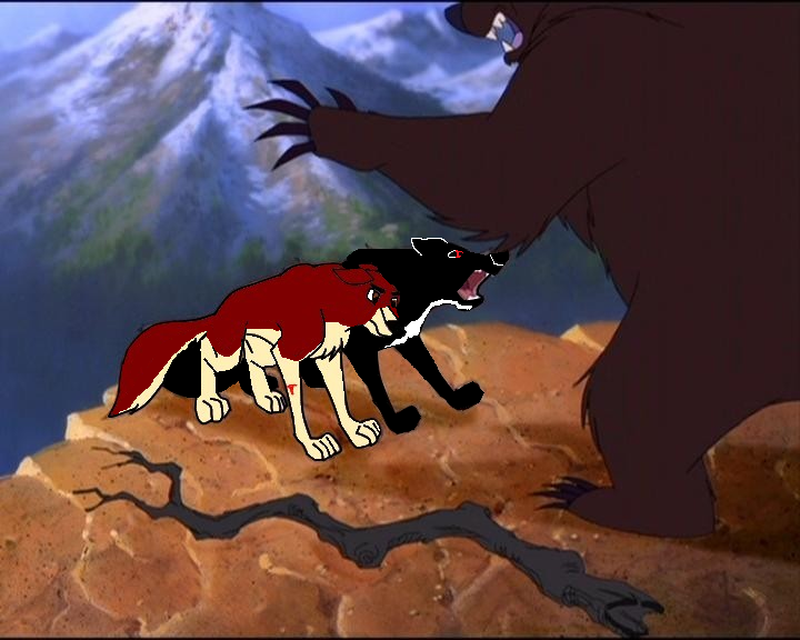 Attacking Bear....