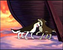 Gift for Rafa and Korat