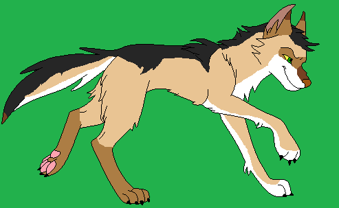 Pack of Light Hunter:Keith