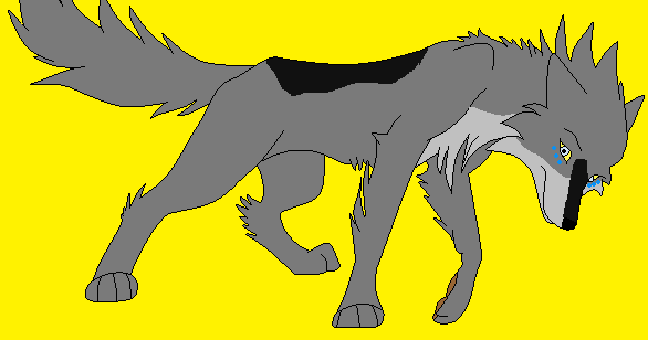 Pack of Light Beta Female:Kashina