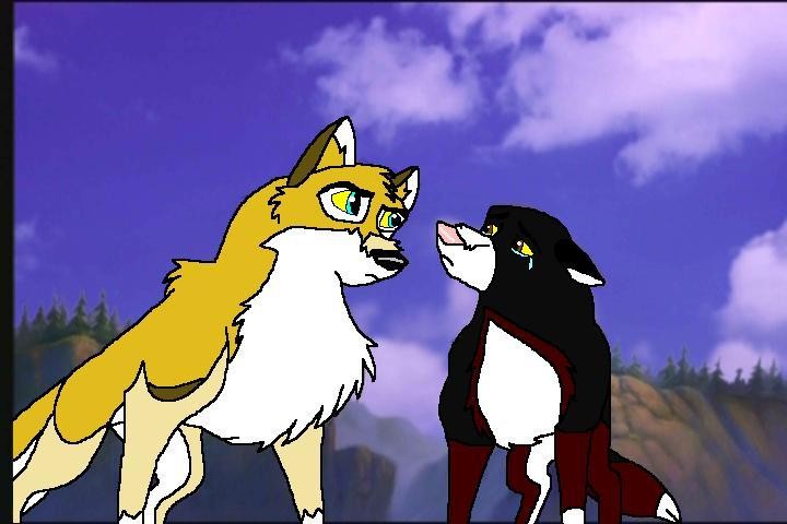 The Fifth Meeting