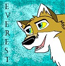 2nd Everest Avatar