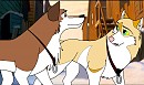 Montana and Name
